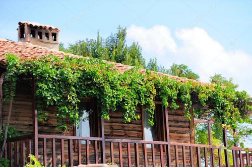 depositphotos_17664649-stock-photo-old-house-covered-with-grapes.jpg